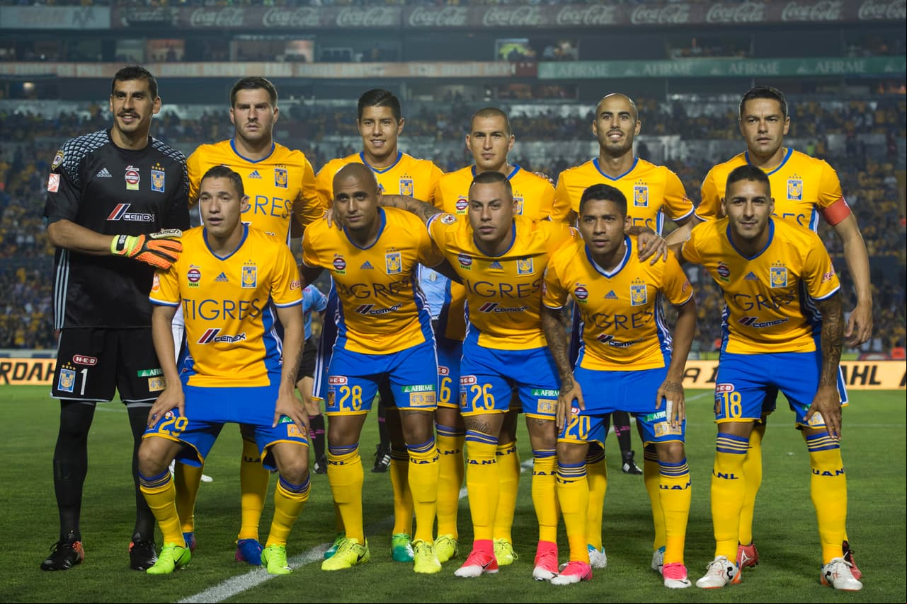 Los felinos han tenido un torneo difícil. Marchan en la posición 13 con 13 puntos, 16 goles a favor y 19 en contra.