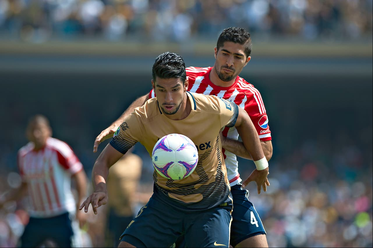 Pumas